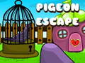 ເກມ Pigeon Escape