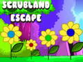 ເກມ Scrubland Escape