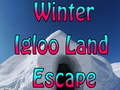 ເກມ Winter Igloo Land Escape 