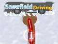 ເກມ Snowfield Driving