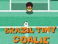 ເກມ Brazil Tiny Goalie