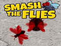 ເກມ Smash The Flies