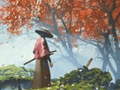 ເກມ Samurai Reflexion