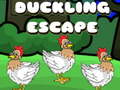 ເກມ Duckling Escape