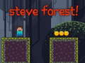 ເກມ Steve Forest