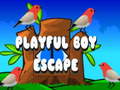 ເກມ Playful Boy Escape