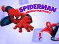 ເກມ Spiderman Memory Matching