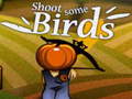 ເກມ Shoot Some Birds