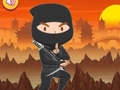 ເກມ Trained Ninja Puzzle