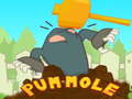 ເກມ Pum-Mole