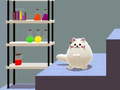 ເກມ Schrödinger’s Dual Cat