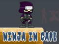 ເກມ Ninja in Cape