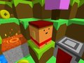 ເກມ Blocky Rush Downhill