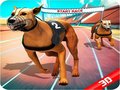 ເກມ Crazy Dog Race
