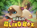 ເກມ Magic Blind Box