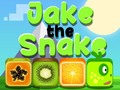 ເກມ Jake The Snake