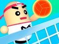 ເກມ 3D Amazing VolleyBall