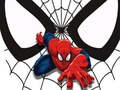 ເກມ Spiderman Match Cards