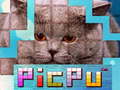 ເກມ PicPu Cat 