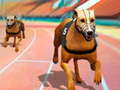 ເກມ Dogs3D Races