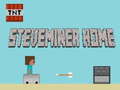 ເກມ Steveminer Home