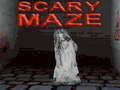 ເກມ Scary Maze 3D