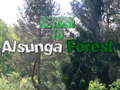 ເກມ Return To Alsunga Forest