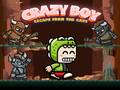 ເກມ Crazy Boy Escape From The Cave