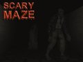 ເກມ Scary Maze