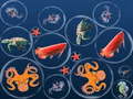 ເກມ Ocean Fish Merge
