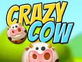 ເກມ Crazy Cow