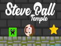 ເກມ Steve Ball Temple