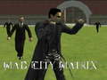ເກມ Mad City Matrix