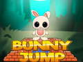 ເກມ Bunny Jump