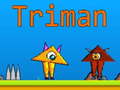 ເກມ Triman