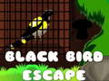 ເກມ Black Bird Escape