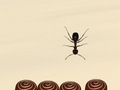 ເກມ Smash All Ants