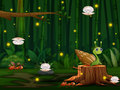 ເກມ Snail Run