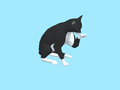 ເກມ Cat Escape