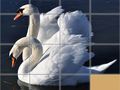 ເກມ Animals Slide Puzzle