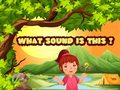 ເກມ What Sound Is This?
