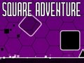 ເກມ Square Adventure