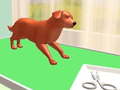 ເກມ Pet Care