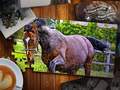 ເກມ Jigsaw Puzzle Horses Edition