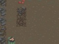 ເກມ The Survival