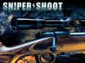 ເກມ Sniper Shooting