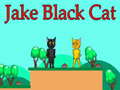 ເກມ Jake Black Cat
