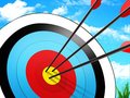 ເກມ Stickman Archery