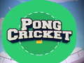 ເກມ Pong Cricket