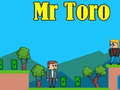 ເກມ Mr Toro